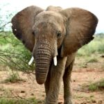 dylan-shaw-363mioyrh1U-unsplash