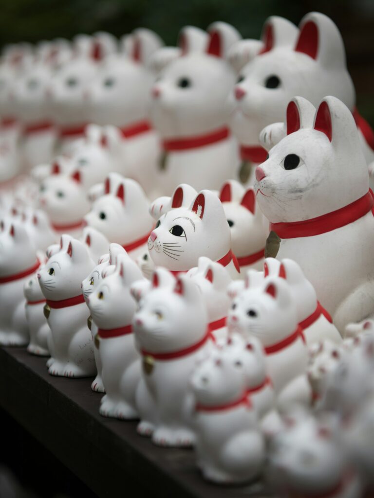 mario-hafliger-SdKm7ShN4W8-unsplash (1)